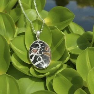 Septarian Necklace. Includes 18" or 20" SS Chain